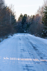 Obraz premium A frozen country road disappears into a beautiful winter forest, with snow-covered pine and birch trees in the background. The cold and icy surface shows tyre tracks on this quiet, remote rural road