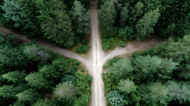 Aerial view of a forest path forking into multiple routes symbolizing a moment of decision and explo n