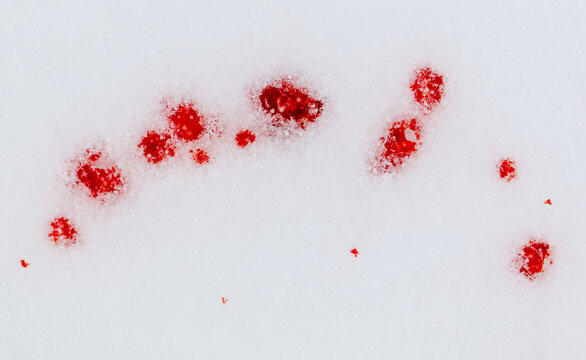 Red drops of blood on white snow as a background