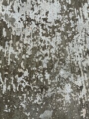 Fototapeta premium texture of old wall