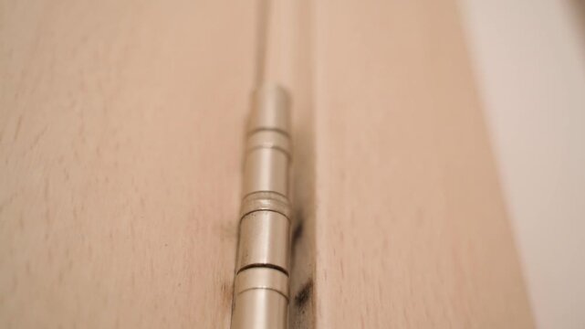 Interior door hinge close-up. Worn door hinge with shaving marks