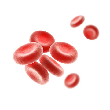 Group of red blood cells, erythrocytes, isolated on transparent background medical