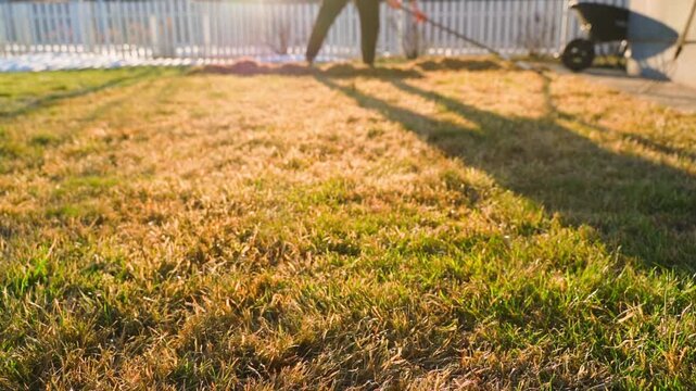 Gardener caring for lawn on sunny spring day in slow motion. Lawn aeration and loosening after winter with rake