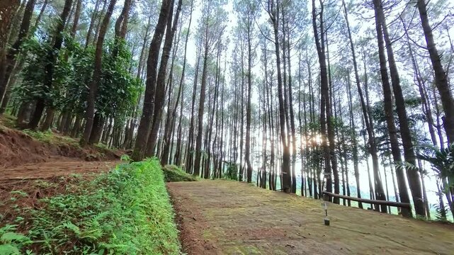 Panning Left Of Empty Camping Ground Area At Tenjo Laut Kuningan