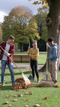 Volunteers cleaning up a park &mdash; community park cleanup, vertical footage