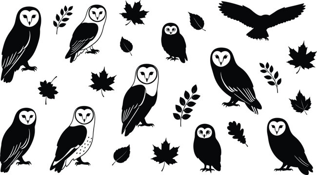 A collection of black and white owl silhouettes with various autumn leaves on a white background
