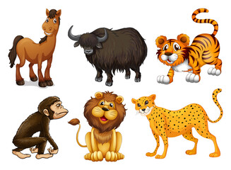 Obraz premium Different kinds of four-legged animals