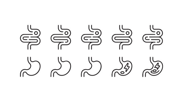 Digestive system icons representing stomach and intestinal health