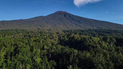 Morning Landscape of Forest at Base of Mount Slamet, Central Java, Indonesia