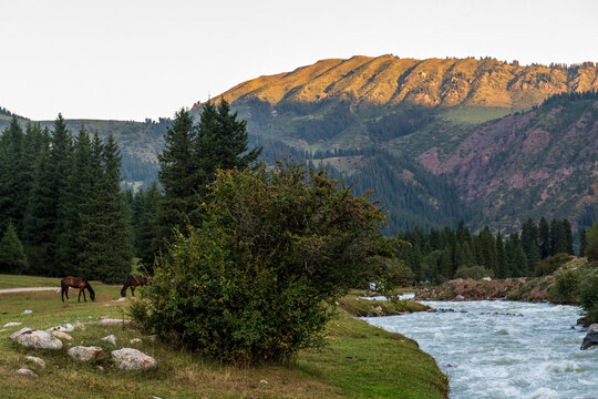A beautiful river landsace in the mountains of Kyrgyzstan, while hte mountains are illuminated during the golden hour around sunrise.