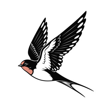 Vector of a flying swallow bird with wings and a light pink beak