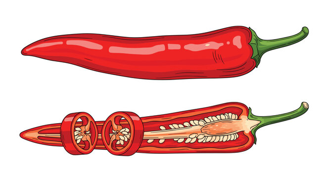 Detailed illustration of a whole red chili pepper and a cross section showing the inner seeds and slices of the spice.