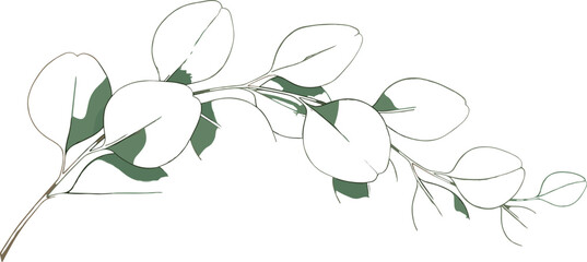 Minimalist Eucalyptus Branch Vector Illustration with Elegant Green Leaf Line Art Sketch for Modern Botanical Design and Nature Themed Backgrounds