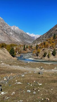 Cinematic 4k wide vertical footage of Autumn Mountain, River Flowing Through Naltar Valley Pakistan with Snow-Capped Peaks and Golden Trees
