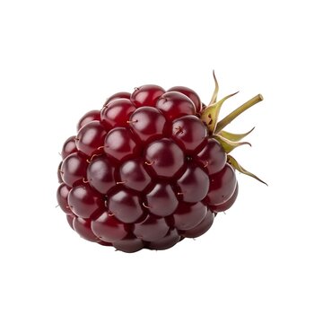 Fresh Blackberry Fruit