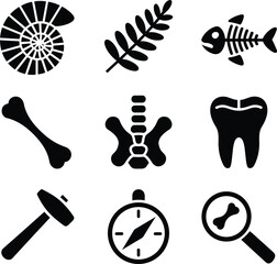 Black flat icons of prehistoric fossils skeletal remains and exploration equipment collection © Masud