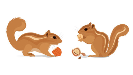 Minimalist flat vector illustration of two chipmunks with hazelnuts, one on the left holding an acorn and one on the right eating a cracked nut © Keepes