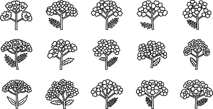 Black and white floral with varying leaf arrangements floral flowers plants