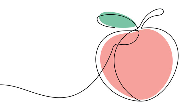 minimalist continuous line drawing of peach fruit with leaf healthy food concept simple outline vector illustration isolated