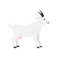 Obraz premium goat on white background