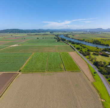 Aerial view of Cane Farms between Condong and Murwillumbah