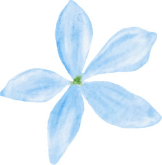 Fototapeta premium Watercolor blue flower