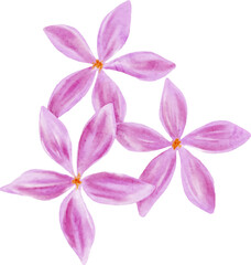 Watercolor three purple floral