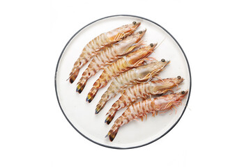 Fresh  monodon shrimp © YH