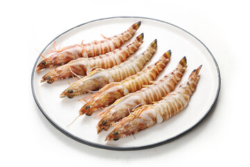 Fresh  monodon shrimp © YH