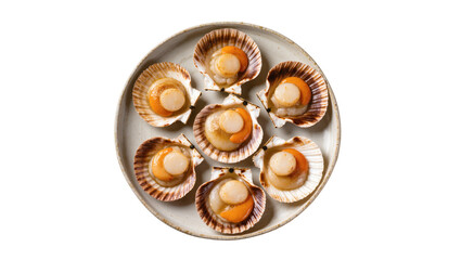 Isolated fresh gourmet scallops with roe in shells on a round plate, seafood delicacy © dominica
