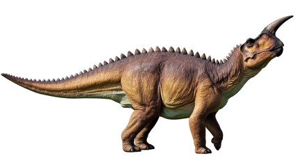 Fototapeta premium Isolated realistic prehistoric horned dinosaur walking, ancient creature with spiky back