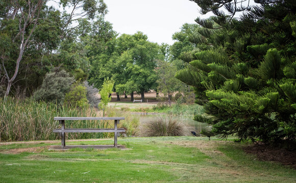 Empty picnic table in a parkland by a lake.