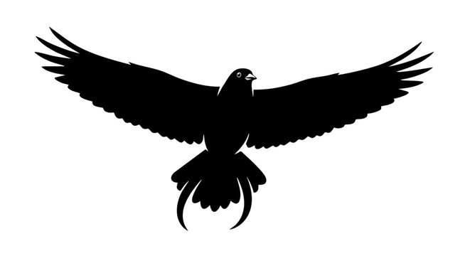 Black raven silhouette with spread wings, flying crow vector illustration, majestic bird of prey isolated on white background