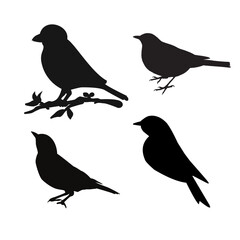 Bird Silhouette Set Showing Different Small Bird Shapes © Abdullah Artworks CO