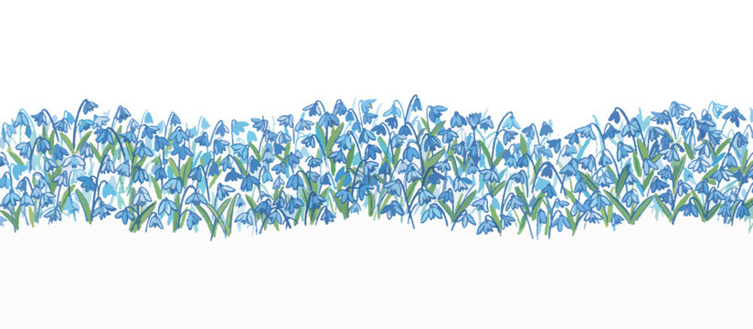 Blue scilla siberica flowers horizontal border. Hand drawn spring vector illustration