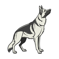 Fototapeta premium Majestic German Shepherd Dog Vector Illustration 