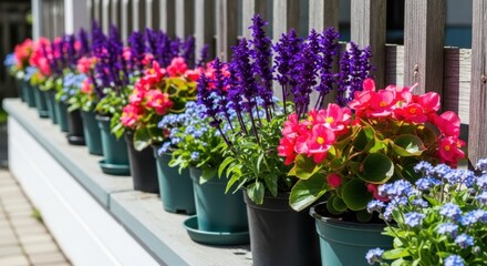 A Row of Vibrant Potted Flowers in Various Colors on a Balcony Railing