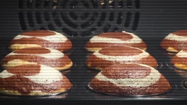 Timelapse close up process of cooking many homemade crunchy oatmeal cookies on metal sheet in oven. Time lapse, dessert, cookery, baking, gastronomy and food concept