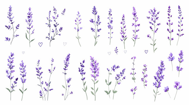 background with lavender