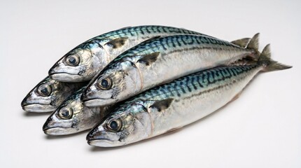 Fototapeta premium Fresh sardines on white background