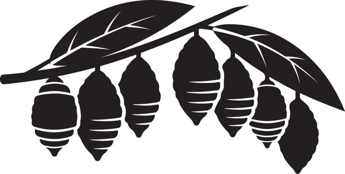 Silhouette of cocoons hanging from a leafy tree branch