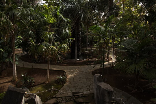 Cetral part "Octogono" in botanical garden Palmetum in Santa Cruz de Tenerife, Canary, Canary Islands, Spain, Europe
