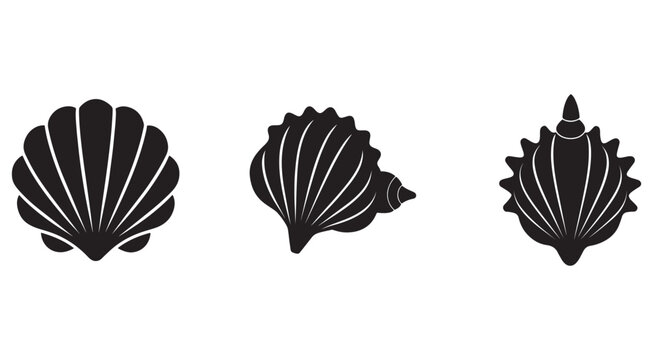 Black silhouettes of scallop seashells on white background  sea shells  ocean shells  marine life