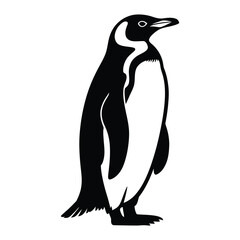 Obraz premium Penguin standing upright Vector, Silhouette, Illustration