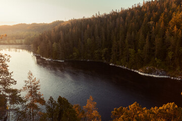 Golden sunrise over a misty forest lake in Scandinavia. Aerial view of calm water, evergreen pine trees, and morning fog in a tranquil wilderness landscape during the glowing magic hour of autumn.