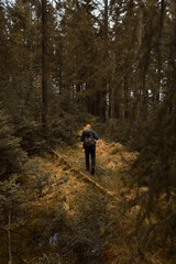 Obraz premium Rear view of a lone hiker with a backpack walking through a dense, moody evergreen forest during autumn. Golden sunlight filters through tall pine trees onto a narrow path with fallen logs and moss.