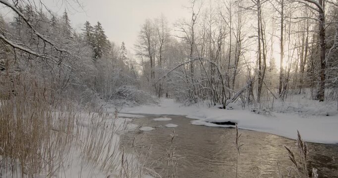 Tranquil, partially frozen river flowing through a snow-covered forest during winter, Matarinkoski, Vantaa, Finland, Europe.