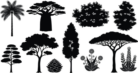 Fototapeta premium Collection of diverse tree and plant silhouettes including palm, baobab, coniferous, deciduous, umbrella-shaped, shrubs, and flowering species for botanical diversity, landscape design