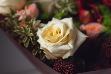 Obraz premium Elegant cream rose in a beautiful floral arrangement. Romantic flower background perfect for wedding design, greeting cards, holiday decorations, floral shops, and luxury botanical themes