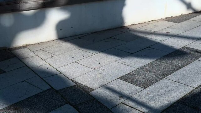 Abstract Dark Shadows Of People Walking On Paved Sidewalk With Bright Sunlight Flare Low Angle Slow Motion Handheld Concept Footage From Ground Level